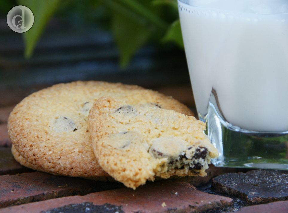 Crunchy orange and chocolate jaffa200011