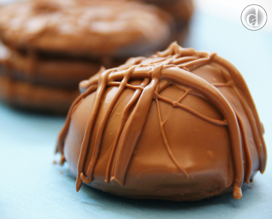 Cowboy truffle top jpytc100011