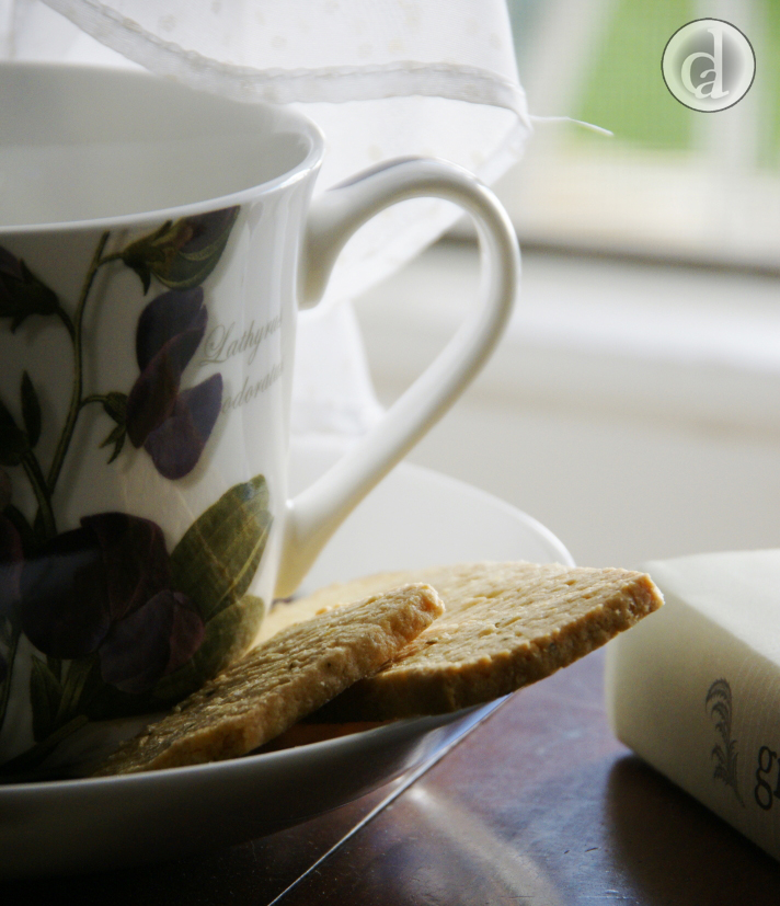 A gentle breeze summer300011