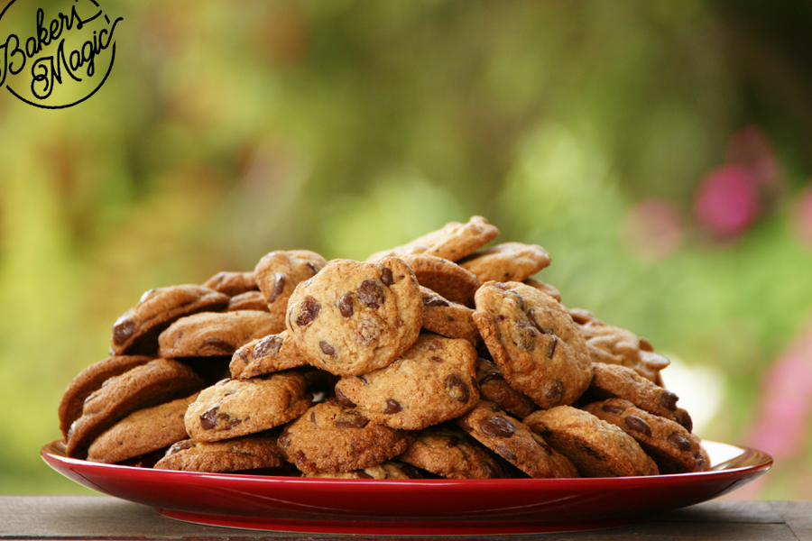 Enough to feed a hungry hoard