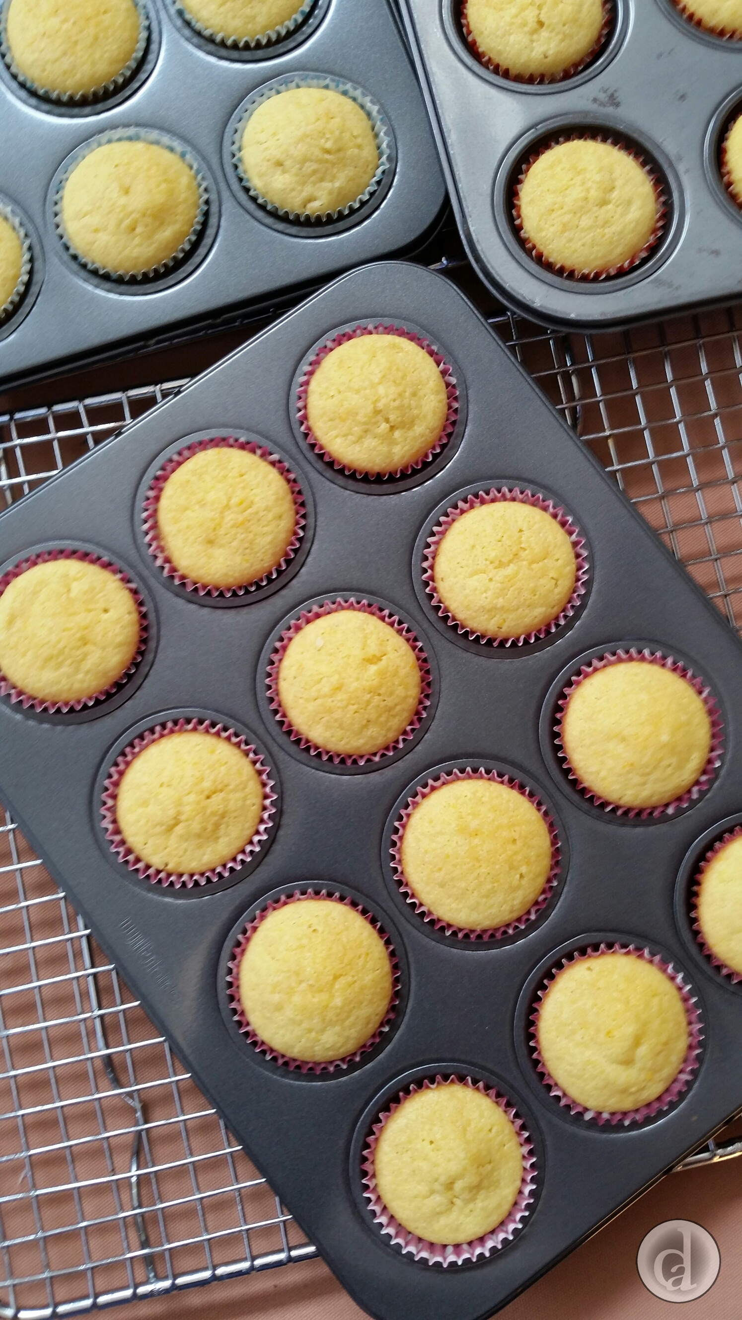 Ready for icing but which one to choose?