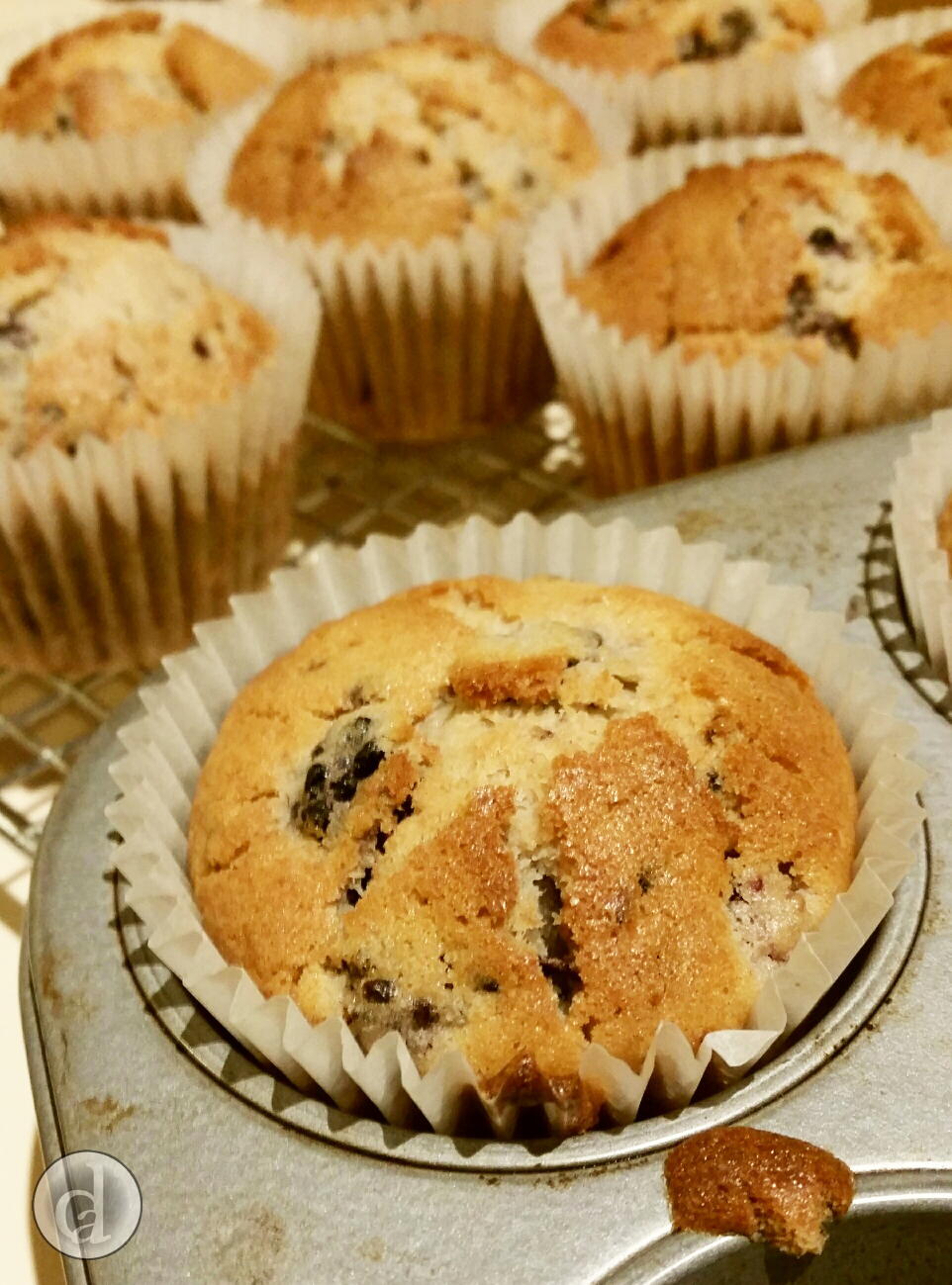 Fresh out of the oven