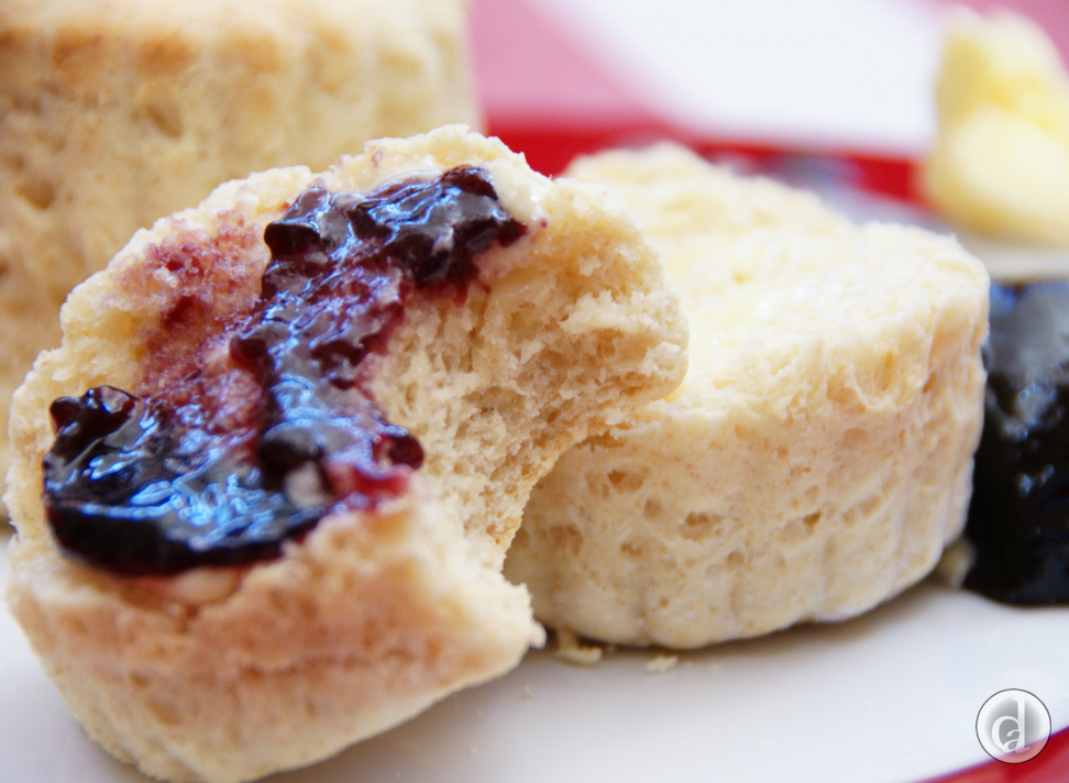Buttermilk scone with wild blackberry jelly