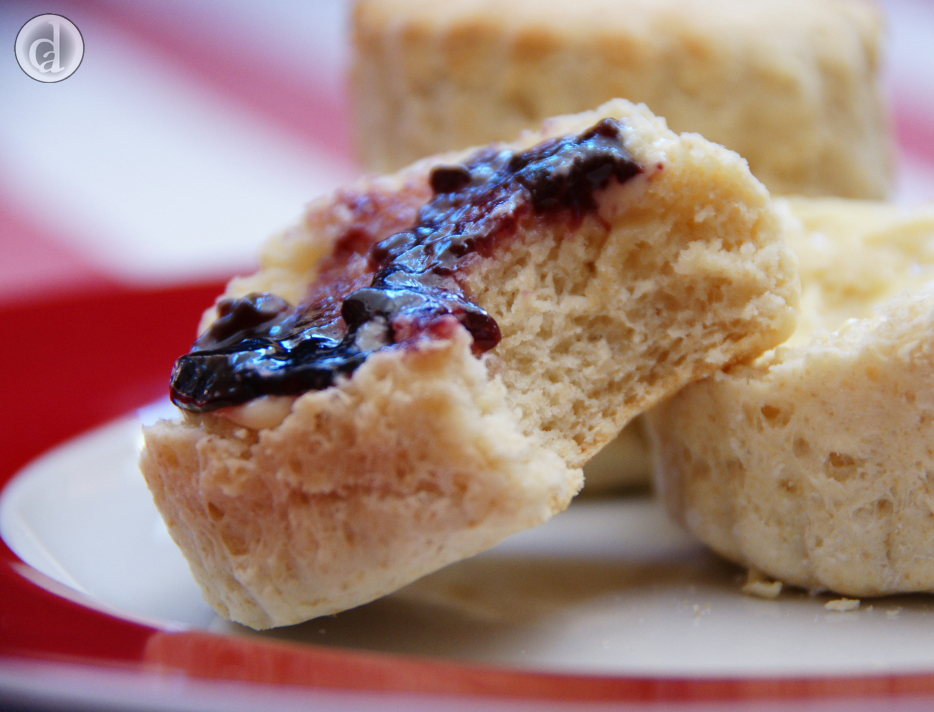 Buttermilk scone with wild blackberry jelly